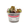 Picture of PLANT IN A CUP: RED ROOT FLOATER - 4oz CUP 